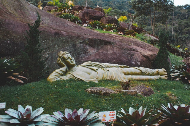 paisagismo-domestico